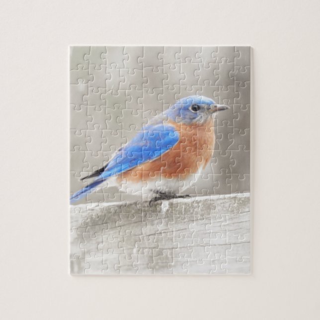 Male Eastern Bluebird Puzzle (Vertikal)