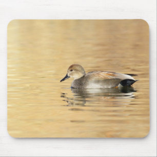 Male Gadwall Mousepad