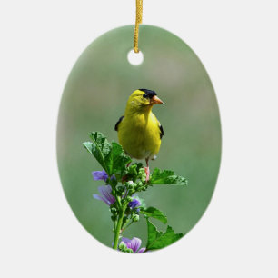 Male Goldfinch Ornament