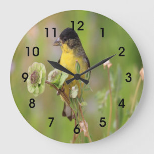 Male Goldfinch perched on flowers Große Wanduhr