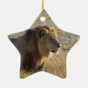 MALE LION 14 BOTSWANA KERAMIK ORNAMENT
