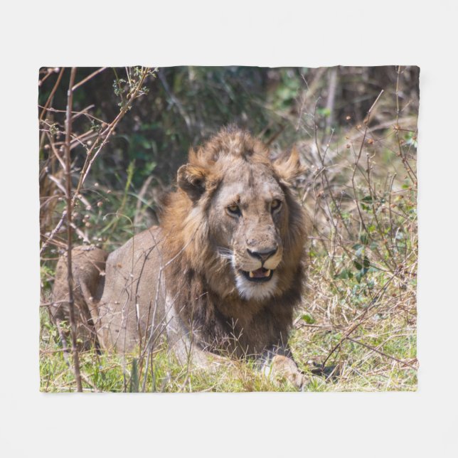 Male Lion Fleece Blanket (Vorderseite (Horizontal))