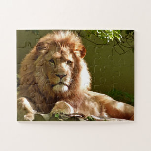 MALE LION FOTOGRAFIE PUZZLES