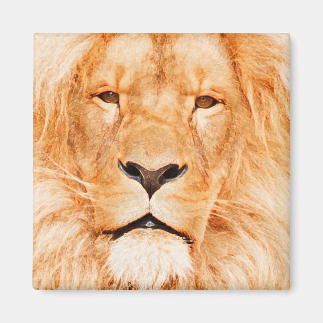 MALE LION MAGNET (Vorne)