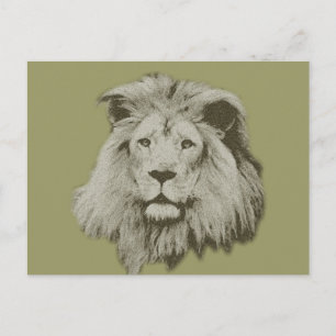 Male Lion Postkarte