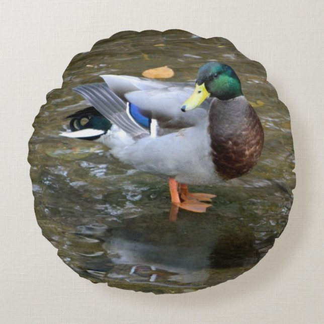 Male Mallard Duck Round Pillow Rundes Kissen (Vorderseite)