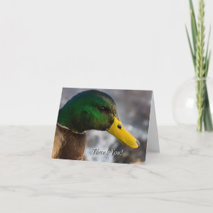 Male Mallard Portrait Danke Karte