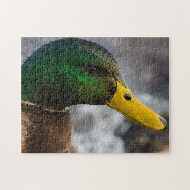 Male Mallard Portrait Puzzle (Horizontal)