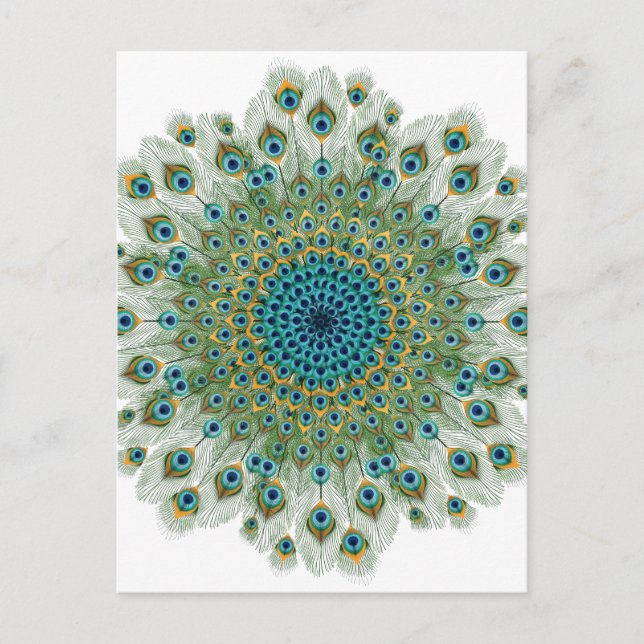Male Peacock Colorful Mandala Postkarte (Vorderseite)