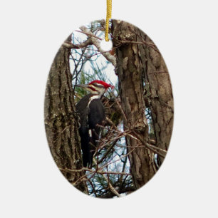 Male Pileated Woodpecker Keramikornament