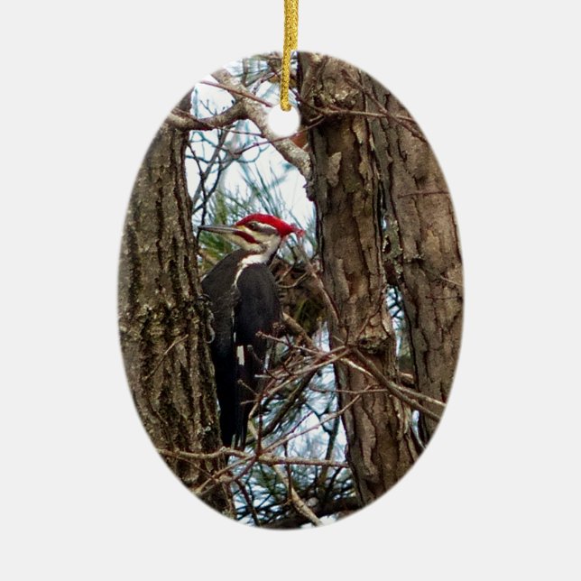 Male Pileated Woodpecker Keramikornament (Vorne)