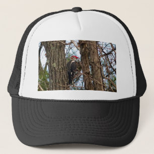 Male Pileated Woodpecker Truckerkappe