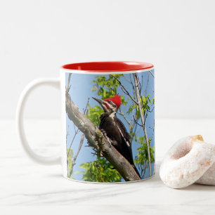 Male Pileated Woodpecker Zweifarbige Tasse