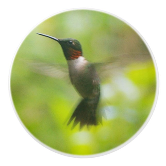 Male Ruby Throat Hummingbird Keramikknauf (Vorderseite)