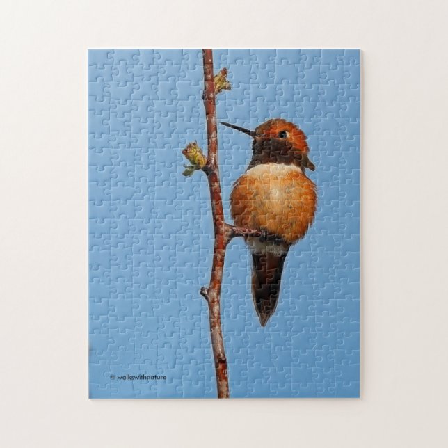 Male Rufous Hummingbird im Scheinwerferlicht Puzzle (Vertikal)