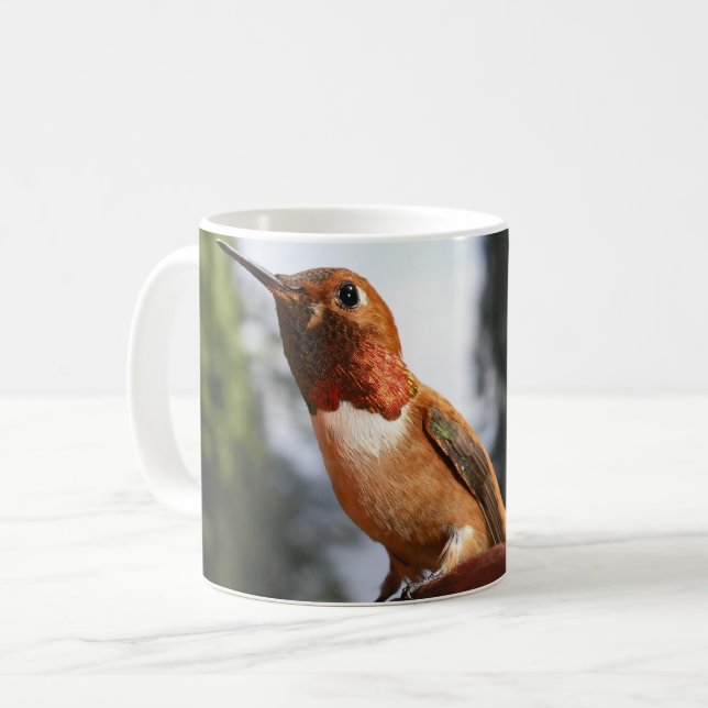 Male Rufous Hummingbird - Tasse (Vorderseite Links)