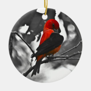 Male Scarlet Tanager Keramikornament