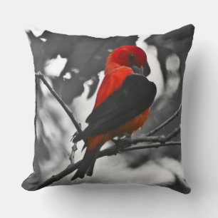 Male Scarlet Tanager Kissen