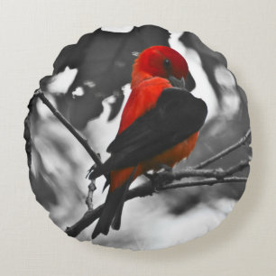 Male Scarlet Tanager Rundes Kissen