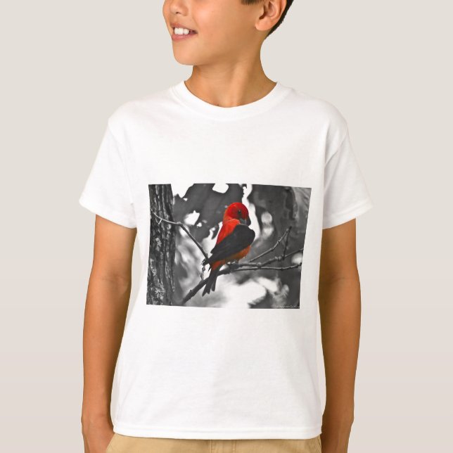 Male Scarlet Tanager T-Shirt (Vorderseite)