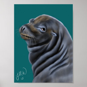 Male Sea Lion Poster