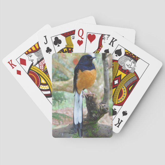 Male White-Rumped Shama Bird Spielkarten (Rückseite)