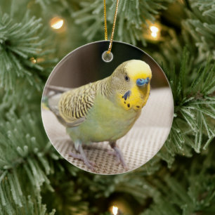 Male Yellow und Green Parakeet Keramik Ornament