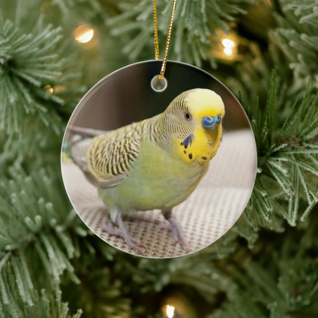 Male Yellow und Green Parakeet Keramik Ornament (Baum)
