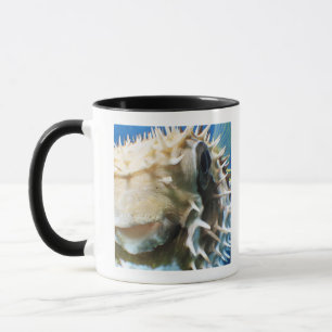 Malediven-Inseln Tasse