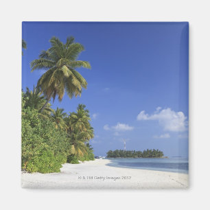 Malediven, Meemu Atoll, Medhufushi Insel Magnet