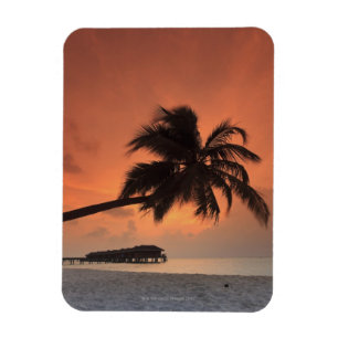 Malediven, Meemu Atoll, Medhufushi Insel, Magnet
