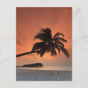 Malediven, Meemu-Atoll, Medhufushi-Insel, Postkarte