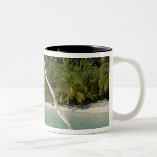 Malediven, Nord-Male-Atoll, Insel Kuda Zweifarbige Tasse
