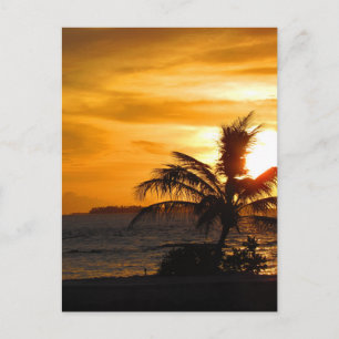 Malediven Postkarte