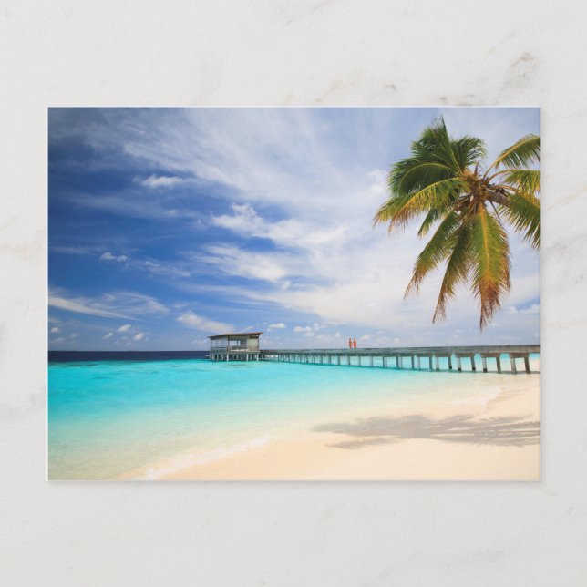 Maledivische Flucht Postkarte (Vorderseite)