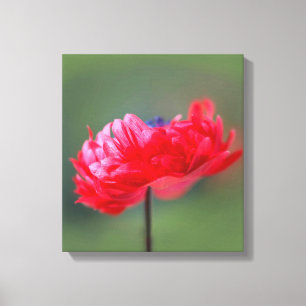 Maleffekt der roten Blume nah Leinwanddruck