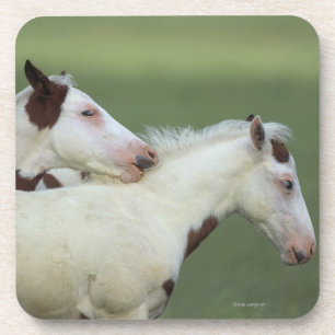 Malen Sie das Fohlen-Spielen Untersetzer