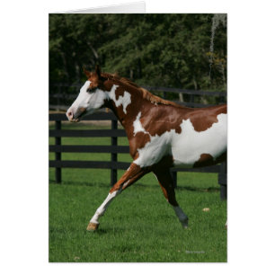 Malen Sie das Pferd, das 1 laufen lässt