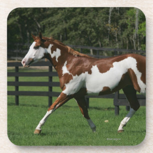 Malen Sie das Pferd, das 1 laufen lässt Untersetzer