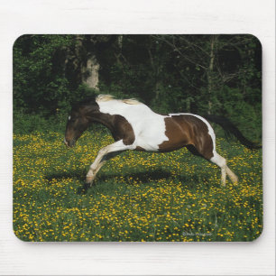 Malen Sie das Pferd, das in Feld der Blumen läuft Mousepad