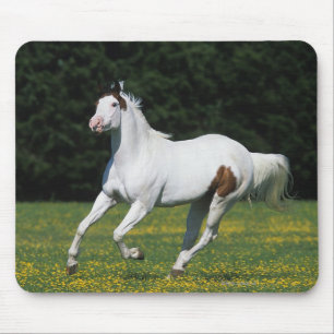 Malen Sie das Pferd, das in grasartiges Feld läuf Mousepad