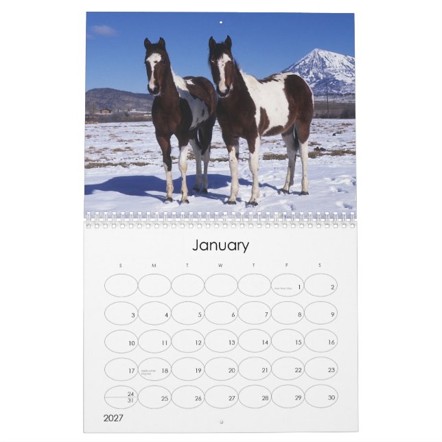 Malen Sie Pferd Kalender (Jan 2027)