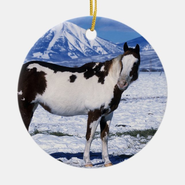Malen Sie Pferd stehend im Schnee Keramikornament (Vorne)