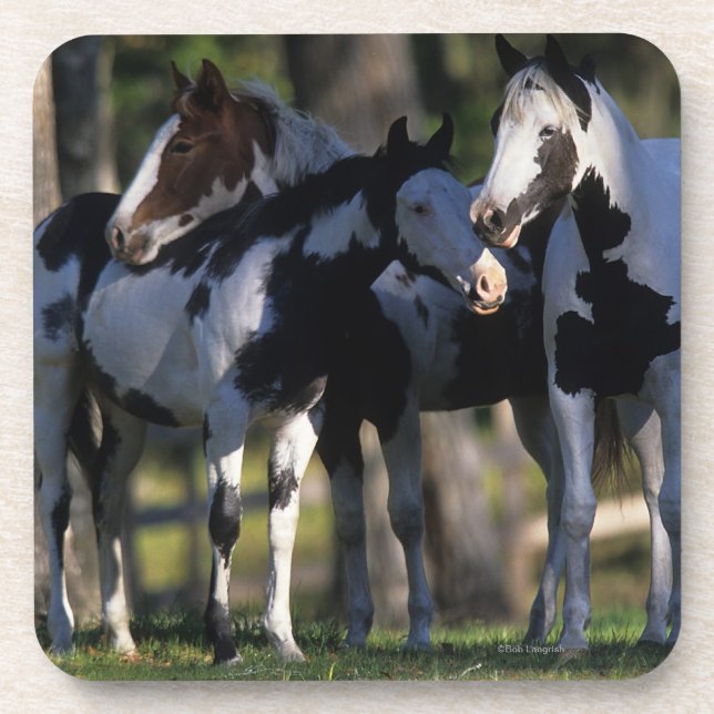 Malen Sie Pferde Untersetzer (Vorderseite)