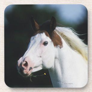 Malen Sie PferdeHeadshot 3 Untersetzer