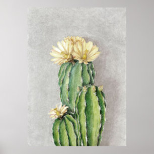 Malerei der Cactus Blume Poster