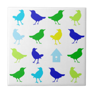 Malerei von farbigen Vögeln durch Chariklia Zarris Fliese