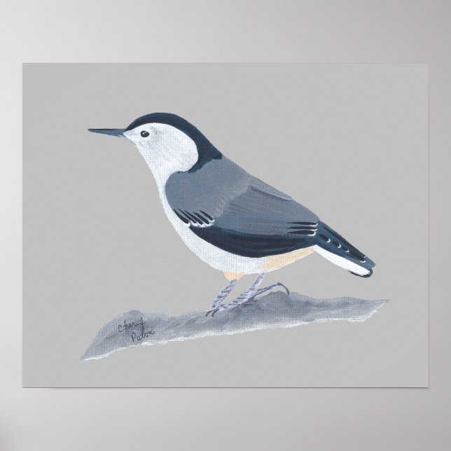 Malerei von Nuthatch Bird auf Wall Posters Poster (Vorne)