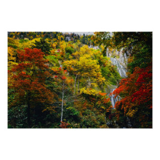 Malerische Aussicht auf Fall Hagoromo Falls Hokkai Poster