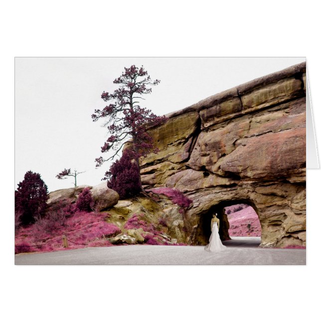 malerische Braut: eleganter Tunnel (Vorderseite (Horizontal))